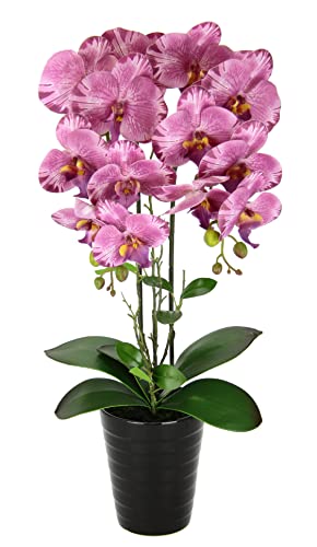 Künstliche Orchidee im Topf Kunstorchidee Blume Kunstblumen Kunst Orchidee Kunstorchidee Phalaenopsis Kunstpflanze wie echt Hochzeit Deko Seidenblume Real Touch Blüte Tischgesteck Seidenblume von Flair Flower