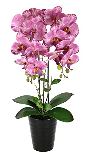 Künstliche Orchidee 58cm im Topf Kunstorchidee Blume Kunstblumen Kunst Orchidee Kunstorchidee Phalaenopsis Kunstpflanze wie echt Hochzeit Deko Seidenblume Real Touch Blüte Tischgesteck Seidenblume von Flair Flower
