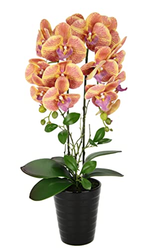 Künstliche Orchidee im Topf Kunstorchidee Blume Kunstblumen Kunst Orchidee Kunstorchidee Phalaenopsis Kunstpflanze wie echt Hochzeit Deko Seidenblume Real Touch Blüte Tischgesteck Seidenblume von Flair Flower