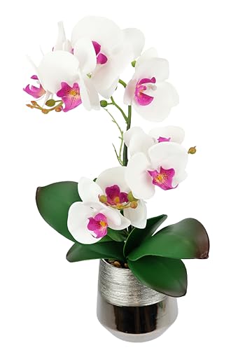 Kunstblume Phalaenopsis Orchidee mit Blätter im Übertopf 42cm Künstliche Blume Kunstorchidee Kunstpflanze Hochzeit Deko Dekoblume Seidenblume Real Touch Dekorative Exotische Blüte, Weiß-Rosa Kunstblume Phalaenopsis Orchidee mit Blätter im Übertopf 42cm Künstliche Blume Kunstorchidee Kunstpflanze Hochzeit Deko Dekoblume Seidenblume Real Touch Dekorative Exotische Blüte, Weiß-Rosa von Flair Flower