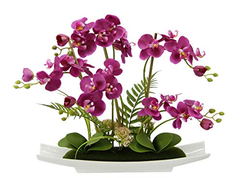 Kunstblume Schmetterling Orchidee in Schale aus Keramik Künstliche Blume Kunstorchidee Phalaenopsis mit Übertopf Kunstpflanze Hochzeit Deko von Flair Flower