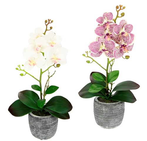 Kunstblume Schmetterling Orchidee mit Blätter und Luftwurzeln im Topf Künstliche Blume Kunstorchidee Phalaenopsis Übertopf Kunstblume Hochzeit Deko Seidenblume Real Touch Blüte, 2er Set, rosa/weiß von Flair Flower