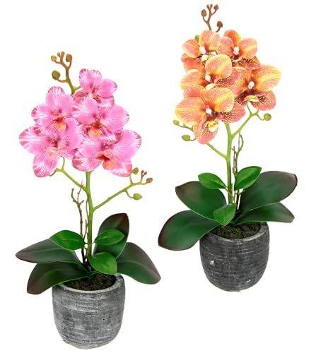 Kunstblume Schmetterling Orchidee 35cm mit Blätter im Topf Künstliche Blume Kunstorchidee Phalaenopsis Übertopf Kunstpflanze Hochzeit Deko Seidenblume Real Touch Blüte, 2er Set, orange/rosa Kunstblume Schmetterling Orchidee 35cm mit Blätter im Topf Künstliche Blume Kunstorchidee Phalaenopsis Übertopf Kunstpflanze Hochzeit Deko Seidenblume Real Touch Blüte, 2er Set, orange/rosa von Flair Flower