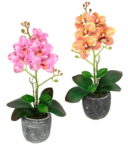 Kunstblume Schmetterling Orchidee mit Blätter und Luftwurzeln im Topf Künstliche Blume Kunstorchidee Phalaenopsis Übertopf Kunstpflanze Hochzeit Deko Seidenblume Real Touch Blüte, 2er Set, orange/rosa von Flair Flower