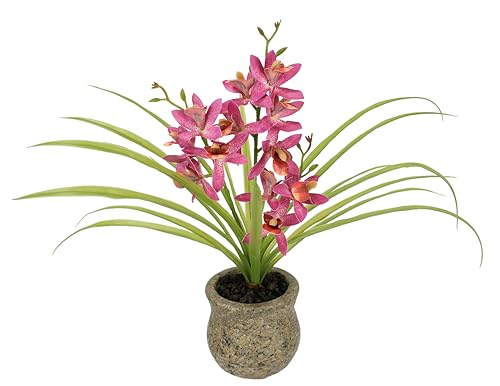 Kunstblume Schmetterling Orchidee mit Übertopf aus Keramik 39cm mit Blätter und Luftwurzeln Künstliche Blume Kunstorchidee Phalaenopsis Kunstpflanze Hochzeit Deko Seidenblume Real Touch Blüte von Flair Flower