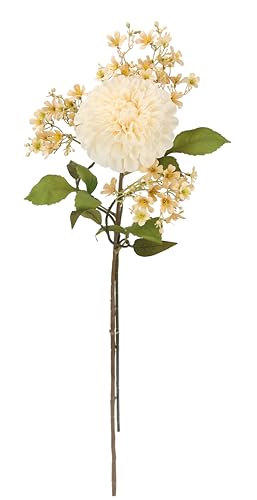 Kunstblumen Dahlie Blütenzweig 2er Set Zweig Seidenblumen Stielblumen-Sortiment Einzelblume Herbstliche Künstliche Blumen Herbst-Deko Herbstblume Dekoblumen Floristik für Bouquet Strauß Kranz, Creme Kunstblumen Dahlie Blütenzweig 2er Set Zweig Seidenblumen Stielblumen-Sortiment Einzelblume Herbstliche Künstliche Blumen Herbst-Deko Herbstblume Dekoblumen Floristik für Bouquet Strauß Kranz, Creme von Flair Flower