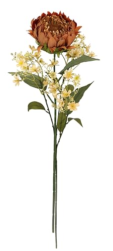 Kunstblumen Protea Blütenzweig 2er Set 70 cm Seidenblume Stielblume künstliche Einzelblumen wie echt für Vase Einzelzweig Herbstzweig Herbstliche Blumen Herbst-Deko Herbstblume Dekoblume, orange Kunstblumen Protea Blütenzweig 2er Set 70 cm Seidenblume Stielblume künstliche Einzelblumen wie echt für Vase Einzelzweig Herbstzweig Herbstliche Blumen Herbst-Deko Herbstblume Dekoblume, orange von Flair Flower