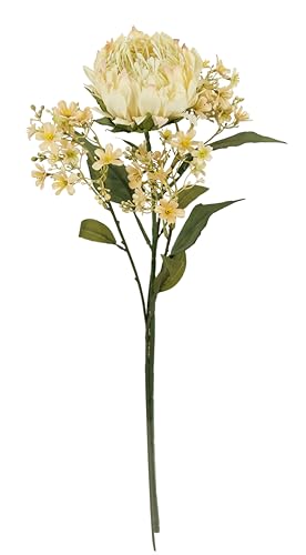 Kunstblumen Protea Blütenzweig 2er Set 70 cm Seidenblume Stielblumen-Sortiment künstliche Einzelblumen wie echt für Vase Einzelzweig einzelner herbstlich Blume Herbst-Deko Herbstblume Dekoblume, creme von Flair Flower