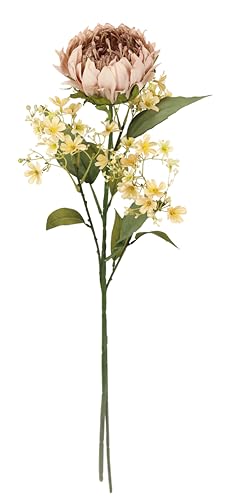 Kunstblumen Protea Blütenzweig 2er Set 70 cm Stielblumen-Sortiment künstliche Einzelblumen für Vase Einzelzweig einzelner Herbstzweig Herbstliche Blumen Herbst-Deko Herbstblume Dekoblume, mauve Kunstblumen Protea Blütenzweig 2er Set 70 cm Stielblumen-Sortiment künstliche Einzelblumen für Vase Einzelzweig einzelner Herbstzweig Herbstliche Blumen Herbst-Deko Herbstblume Dekoblume, mauve von Flair Flower