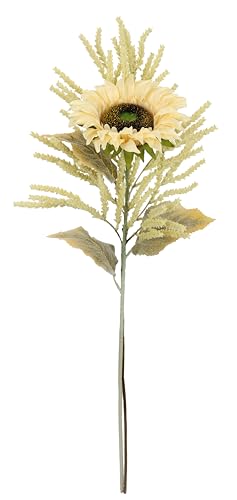 Kunstblumen Sonnenblume Astilbe 2er Set 80cm Seidenblume Stielblumen-Sortiment künstliche Einzelblumen wie echt für Vase Herbstzweig Herbstliche Blumen Herbst-Deko Herbstblume Dekoblume, creme Kunstblumen Sonnenblume Astilbe 2er Set 80cm Seidenblume Stielblumen-Sortiment künstliche Einzelblumen wie echt für Vase Herbstzweig Herbstliche Blumen Herbst-Deko Herbstblume Dekoblume, creme von Flair Flower
