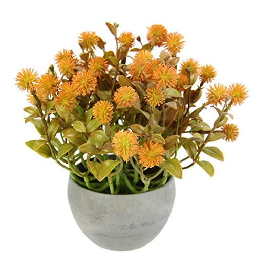 Kunstpflanze Margerite im Topf Künstliche Blumen Mittelstück Gras Blütenbusch Heidenkrant Busch Tischdeko Mittelstück Zimmerpflanze Pflanze Kunstblumen Unechte Deko Pflanze Buchs Blumenschmuck Kunstpflanze Margerite im Topf Künstliche Blumen Mittelstück Gras Blütenbusch Heidenkrant Busch Tischdeko Mittelstück Zimmerpflanze Pflanze Kunstblumen Unechte Deko Pflanze Buchs Blumenschmuck von Flair Flower