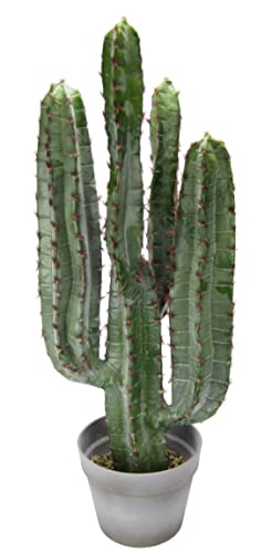 Flair Flower Säulenkaktus im Topf Künstlicher Kaktus Zimmerpflanze Grünpflanze Stacheliger Consolea rubescens Flache Kakteen Pflanze Blume Sukkulente Kunstkaktus Aloe Vera 151588GN Grün 70x26x26 cm von Flair Flower