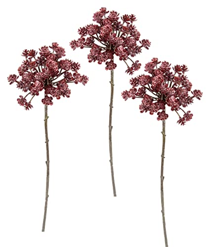 Metallic-Dillzweig Dill mit Glitter beeist Kunstzweige Deko Pflanze Zweig Weihnachtsdeko Einzelblume Kunstblumen Künstliche Blumen Kunstpflanze Floristik AST Metallic-Blütenzweig Winterblume Metallic-Dillzweig Dill mit Glitter beeist Kunstzweige Deko Pflanze Zweig Weihnachtsdeko Einzelblume Kunstblumen Künstliche Blumen Kunstpflanze Floristik AST Metallic-Blütenzweig Winterblume von Flair Flower
