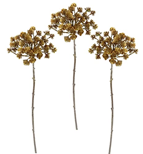 Metallic-Dillzweig Dill mit Glitter beeist Kunstzweige Deko Pflanze Zweig Weihnachtsdeko Einzelblume Kunstblumen Künstliche Blumen Kunstpflanze Floristik AST Metallic-Blütenzweig Winterblume Metallic-Dillzweig Dill mit Glitter beeist Kunstzweige Deko Pflanze Zweig Weihnachtsdeko Einzelblume Kunstblumen Künstliche Blumen Kunstpflanze Floristik AST Metallic-Blütenzweig Winterblume von Flair Flower