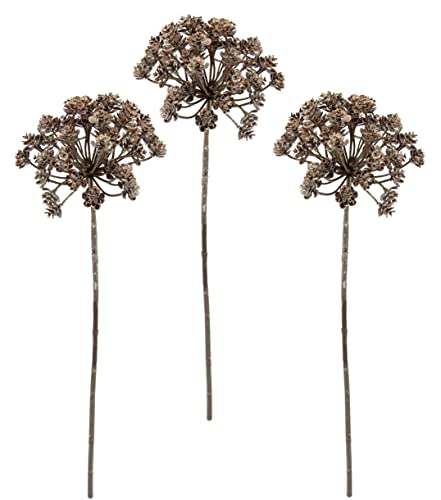 Metallic-Dillzweig Dill mit Glitter beeist Kunstzweige Deko Pflanze Zweig Weihnachtsdeko Einzelblume Kunstblumen Künstliche Blumen Kunstpflanze Floristik AST Metallic-Blütenzweig Winterblume Metallic-Dillzweig Dill mit Glitter beeist Kunstzweige Deko Pflanze Zweig Weihnachtsdeko Einzelblume Kunstblumen Künstliche Blumen Kunstpflanze Floristik AST Metallic-Blütenzweig Winterblume von Flair Flower