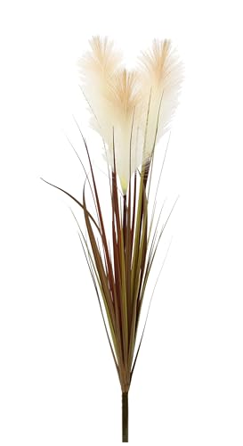 Pampasgras künstlich 75cm Federgras Ufergras Seidenblume Grasbusch Dekogras Kunstpflanze Pflanze Solitärgras Ziergras Pampas Kunstgras Zimmerpflanze Deko Flauschige Blüten Optik Boho Pampasgras künstlich 75cm Federgras Ufergras Seidenblume Grasbusch Dekogras Kunstpflanze Pflanze Solitärgras Ziergras Pampas Kunstgras Zimmerpflanze Deko Flauschige Blüten Optik Boho von Flair Flower
