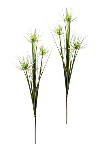 Papyrus im Grasbusch Graszweig Dekozweig Zweige Kunstgras Kunstblumen Uferschilf Ufergras Gras künstliche Pflanze Ziergras Schilf Federgras Kunstpflanzen Solitärgras Einzelblume Stielblume Seidenblume Papyrus im Grasbusch Graszweig Dekozweig Zweige Kunstgras Kunstblumen Uferschilf Ufergras Gras künstliche Pflanze Ziergras Schilf Federgras Kunstpflanzen Solitärgras Einzelblume Stielblume Seidenblume von Flair Flower