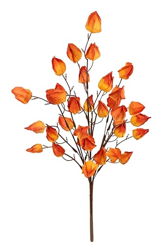 Physalis Busch künstlich 52 cm Lampion Herbstlich Blume Physalis-Zweig Herbst-Deko Kunstblume Herbstblume Seidenblume Zweig für Vase Halloween Dekozweig für Girlanden Kränze Herbstkränze Physalis Busch künstlich 52 cm Lampion Herbstlich Blume Physalis-Zweig Herbst-Deko Kunstblume Herbstblume Seidenblume Zweig für Vase Halloween Dekozweig für Girlanden Kränze Herbstkränze von Flair Flower