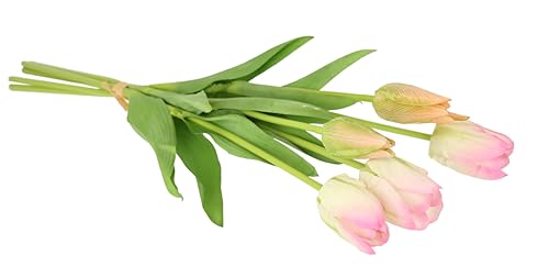 Real-Touch Tulpenbund 5 Blüten Frühjahrsdeko Frühlingsdeko Osterdeko Kunstblumen Künstliche Blumen Gefälschte Tulpe Latex Hochzeit Hotel Party Dekoration Einzelblume Stielblume Seidenblume Tulpenbund Real-Touch Tulpenbund 5 Blüten Frühjahrsdeko Frühlingsdeko Osterdeko Kunstblumen Künstliche Blumen Gefälschte Tulpe Latex Hochzeit Hotel Party Dekoration Einzelblume Stielblume Seidenblume Tulpenbund von Flair Flower
