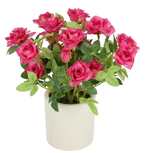 Wildröschen im Topf 32cm Deko Kunstblume Rosen Kunstrosen Wildrosen Kunstpflanze Blumen Künstliche Seidenblume Hochzeitsdeko Blumenstrauß Tischdeko Blumendeko Dekoblume Topfblume Topfpflanze, rosa Wildröschen im Topf 32cm Deko Kunstblume Rosen Kunstrosen Wildrosen Kunstpflanze Blumen Künstliche Seidenblume Hochzeitsdeko Blumenstrauß Tischdeko Blumendeko Dekoblume Topfblume Topfpflanze, rosa von Flair Flower