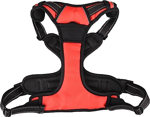 Geschirr BALOU ROT XL 80-105CM 25MM von Flamingo