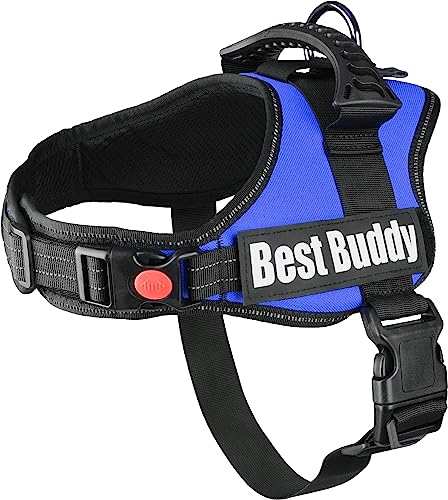 F Geschirr Best Buddy Pluto Blau, M 60-80 cm x 38 mm von Flamingo