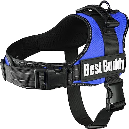 Geschirr Best Buddy Pluto BLAU L 70-90CM*50MM von Flamingo