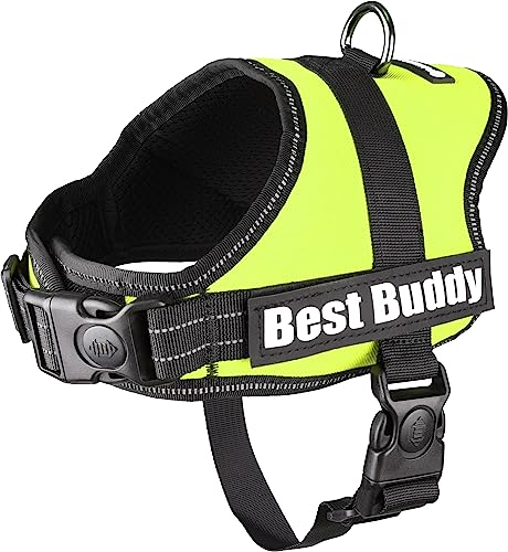 Geschirr Best Buddy Pluto NEON GRÜN S 50-70CM*25MM von Flamingo