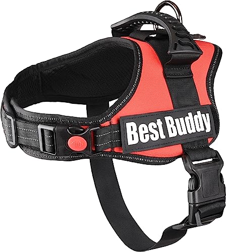 Geschirr Best Buddy Pluto ROT M 60-80CM*38MM von Flamingo