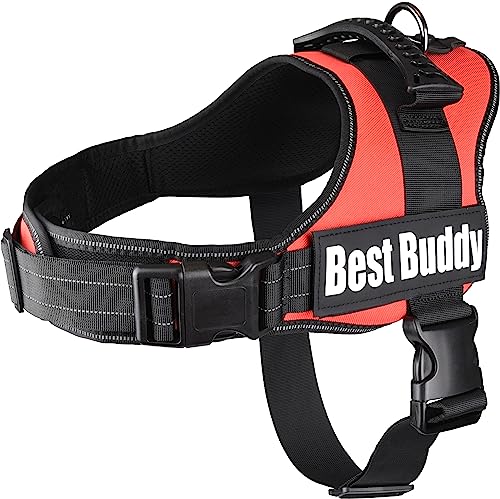 Geschirr Best Buddy Pluto ROT XXL 95-130CM*50MM von Flamingo