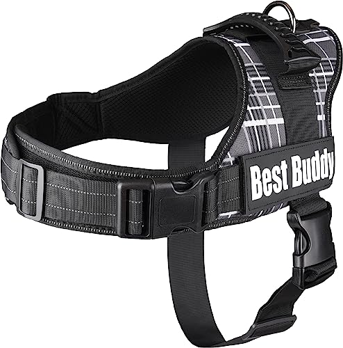 Geschirr Best Buddy Pluto SCHWARZ Grid L 70-90CM*50MM von Flamingo