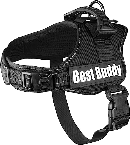 Geschirr Best Buddy Pluto SCHWARZ M 60-80CM*38MM von Flamingo