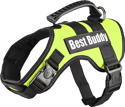 Geschirr Best Buddy Uranus NEON GRÜN L 70-90CM*50MM von Flamingo