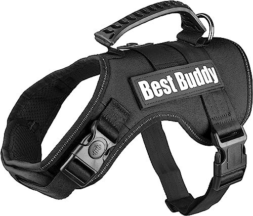 Geschirr Best Buddy Uranus SCHWARZ M 60-80CM*38MM von Flamingo