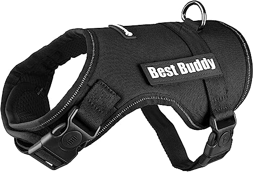 F Geschirr Best Buddy Uranus Schwarz S 50-70 x 25 mm von Flamingo