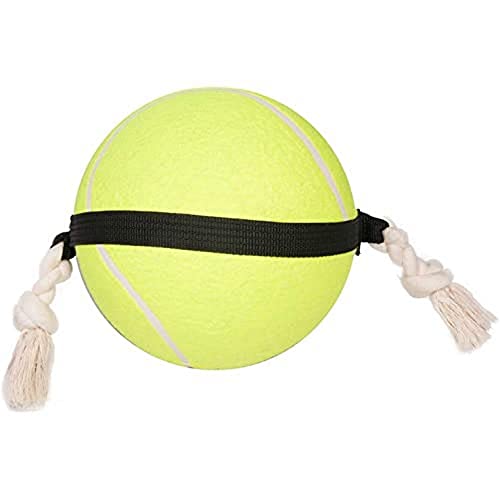 Flamingo HS MATCHBALL Tennisball 22CM von Flamingo