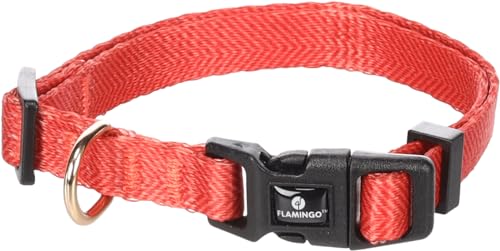 Flamingo Halsband Noekie Orange – XS | 20-35 cm x 10 mm x 1 mm, Langlebig, Stilvoll und Elegant – Für Kleine Hunde! Flamingo Halsband Noekie Orange – XS | 20-35 cm x 10 mm x 1 mm, Langlebig, Stilvoll und Elegant – Für Kleine Hunde! von Flamingo