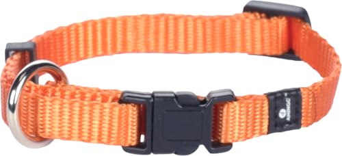 Flamingo Halsband für Hund Ziggi orange XS - 20-35cm 10mm - Stufenlos verstellbar - Mit zugentlastung Flamingo Halsband für Hund Ziggi orange XS - 20-35cm 10mm - Stufenlos verstellbar - Mit zugentlastung von Flamingo