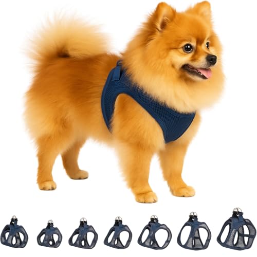 Hundegeschirr - hundegeschirr kleine Hunde - 30–35cm A. Brust / 37–40cm B. Bauch - Flamingo Harness Step&Go Bento Dunkelblau S von Flamingo
