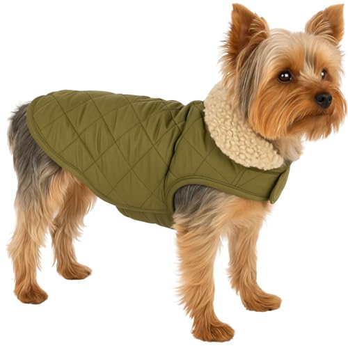 Flamingo Hundemantel – Bonnie – Grün – A: 30 cm | B: 31–32 cm | C: 46–49 cm – Premium Line – wasserabweisend, waschbar bei 30 °C, Klettverschluss, Plüschfutter von Flamingo