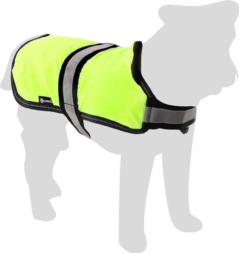 Flamingo Hundemantel Winter – Eisbär Fluo Gelb – XXS 30cm – Polyesterfaser – reflektierende Riemen – Wasser- & Winddicht – PU-Beschichtung – Geschirröffnung von Flamingo