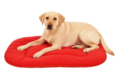 Flamingo Hundekissen Firenze – Dünn Oval Rot | 77 × 54 × 3 cm | Komfortabel, Pflegeleicht & Stilvoll! Flamingo Hundekissen Firenze – Dünn Oval Rot | 77 × 54 × 3 cm | Komfortabel, Pflegeleicht & Stilvoll! von Flamingo