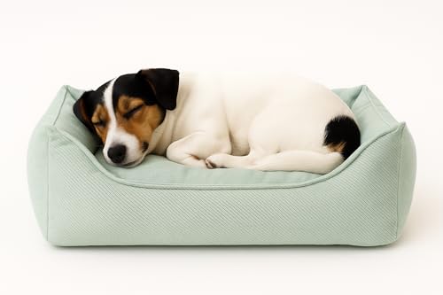 Flamingo Orthopädisches Hundebett Baldar – Rechteckig, Grün, 65 cm | Ergonomischer & Bequemer Schlafplatz für Hunde! von Flamingo
