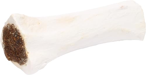 Flamingo Leckerli Hund – Natur Büffelcalciumknochen mit Lunge – 15cm – 324g – reich an Kalzium – Zahnpflege & Kauvergnügen Flamingo Leckerli Hund – Natur Büffelcalciumknochen mit Lunge – 15cm – 324g – reich an Kalzium – Zahnpflege & Kauvergnügen von Flamingo