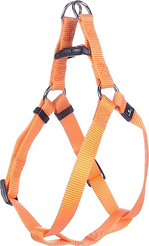 Geschirr Step&GO ZIGGI ORANGE XL 60-90CM 25MM von Flamingo