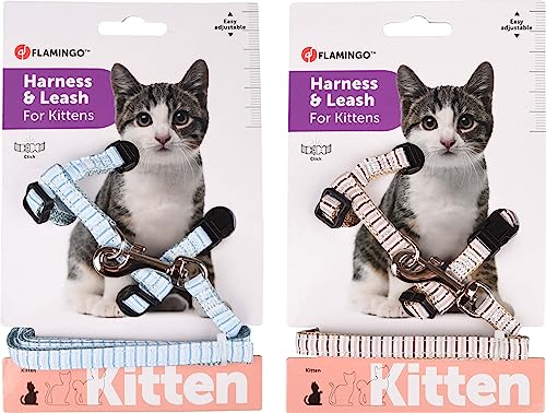 KÄTZCHEN-Geschirr + Leine SERWAN 16-25CM 10MM SORTIMENT von Flamingo