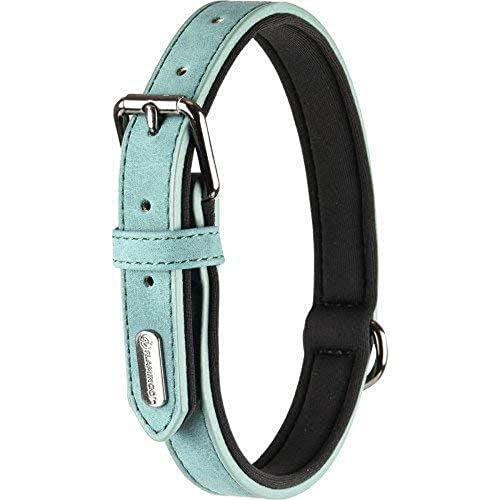 Halsband DELU GRÜN XL 47/57CM 30MM Halsband DELU GRÜN XL 47/57CM 30MM von Flamingo