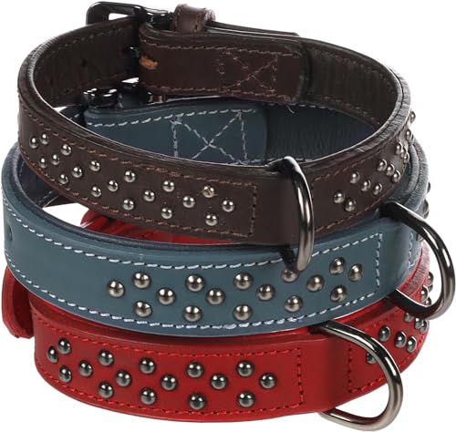 Halsband Denver + SCHMUCKELEMENTEN ROT S 25-31CM 22MM von Flamingo