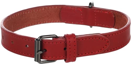 Halsband Denver ROT M/L 38-48CM 25MM von Flamingo