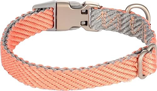 Halsband Elly LACHSROSA S 30-45CM 15MM von Flamingo